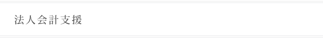 法人会計支援
